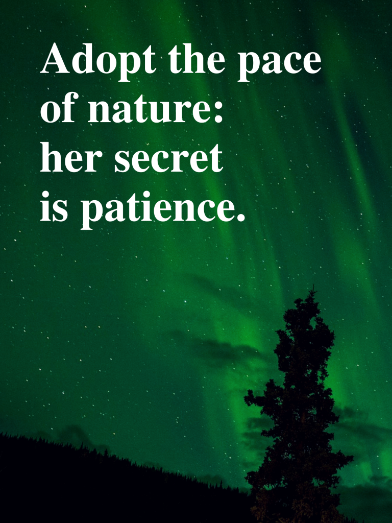 “Adopt the pace of nature: her secret is patience.” – Ralph Waldo Emerson