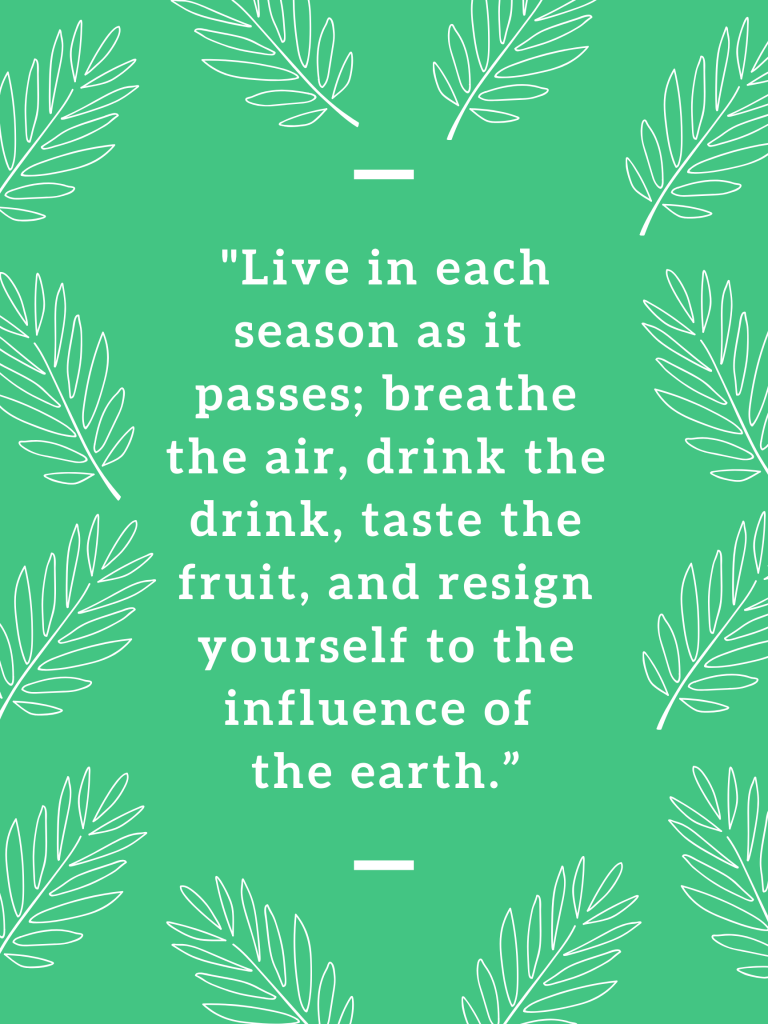 “Live in each season as it passes; breathe the air, drink the drink, taste the fruit, and resign yourself to the influence of the earth.” – Henry David Thoreau