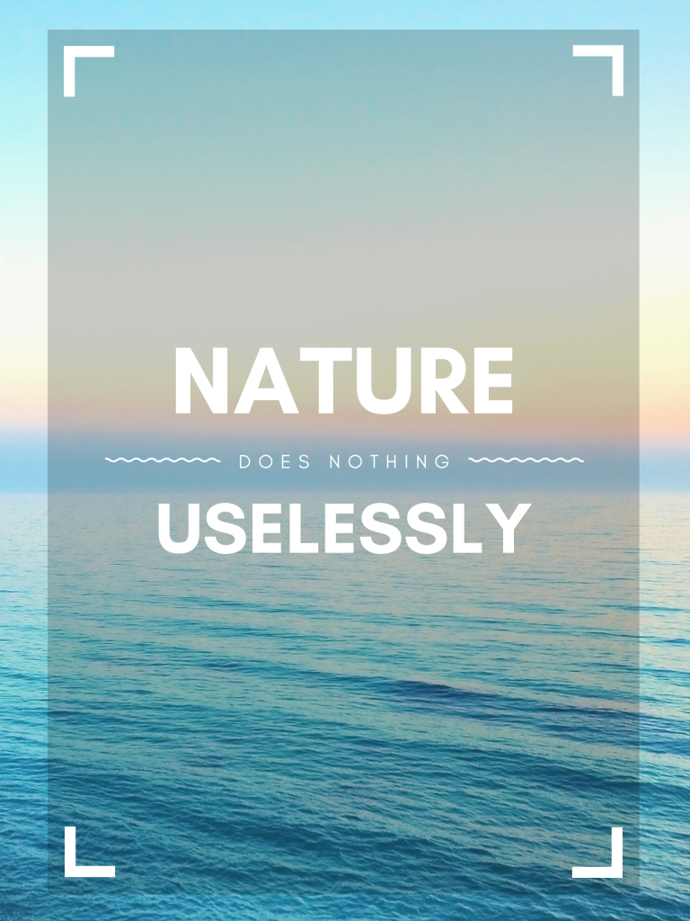 “Nature does nothing uselessly.” – Aristotle