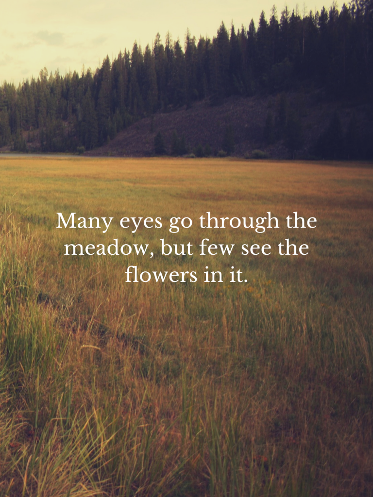 55 Beautiful Outdoor Quotes to Make You Want to Go Outside Happily