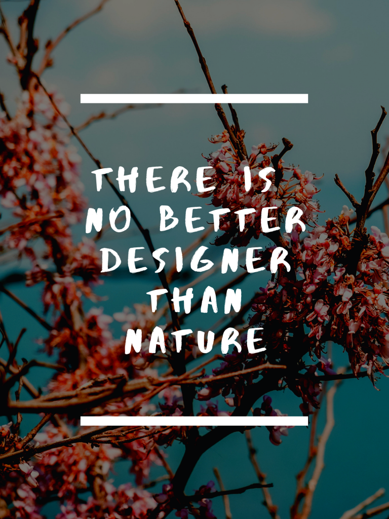 “There is no better designer than nature.” – Alexander McQueen