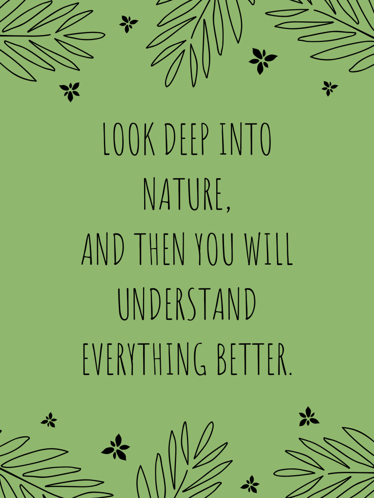 “Look deep into nature, and then you will understand everything better.” – Albert Einstein