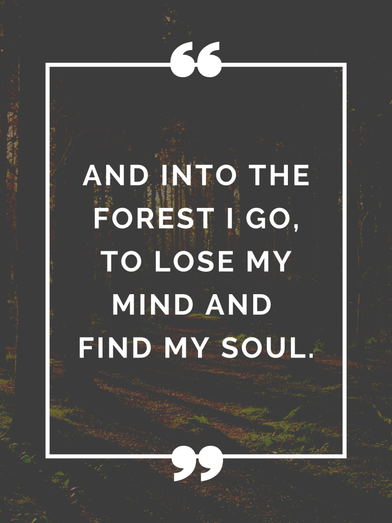 “And into the forest I go, to lose my mind and find my soul.” – John Muir